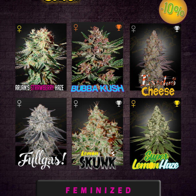 Green House Seeds Feminized Seeds Bundle.jpg